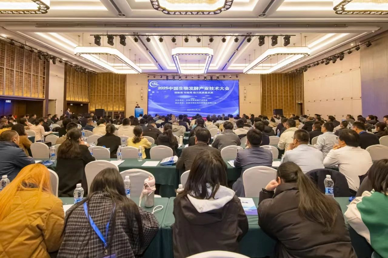 20250304-3.jpg 20250304-3.jpg